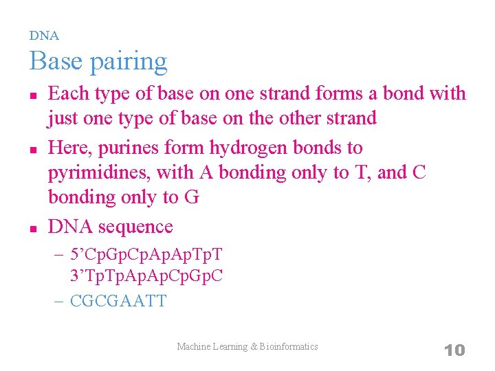 DNA Base pairing n n n Each type of base on one strand forms