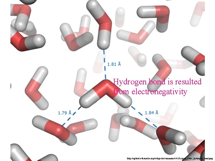 Hydrogen bond is resulted from electronegativity http: //upload. wikimedia. org/wikipedia/commons/4/43/Liquid_water_hydrogen_bond. png 