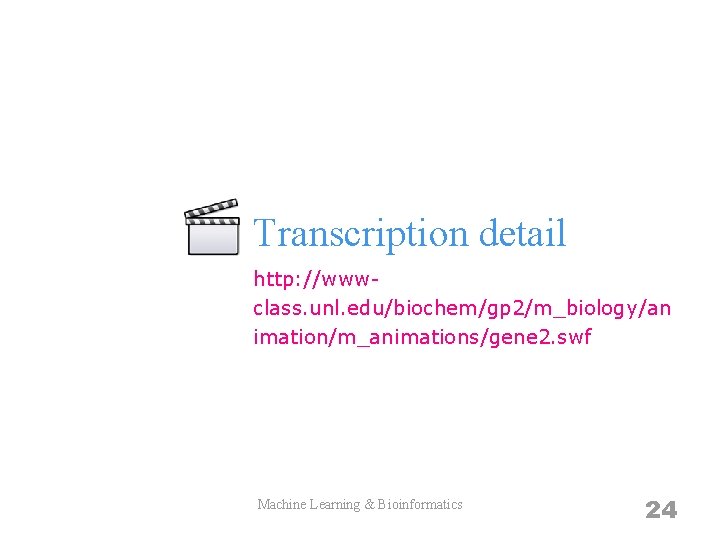 Transcription detail http: //wwwclass. unl. edu/biochem/gp 2/m_biology/an imation/m_animations/gene 2. swf Machine Learning & Bioinformatics