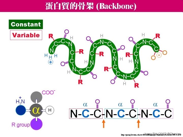 http: //juang. bst. ntu. edu. tw/BC 2008/images/Protein(1)%202007/P 1 -4. JPG 