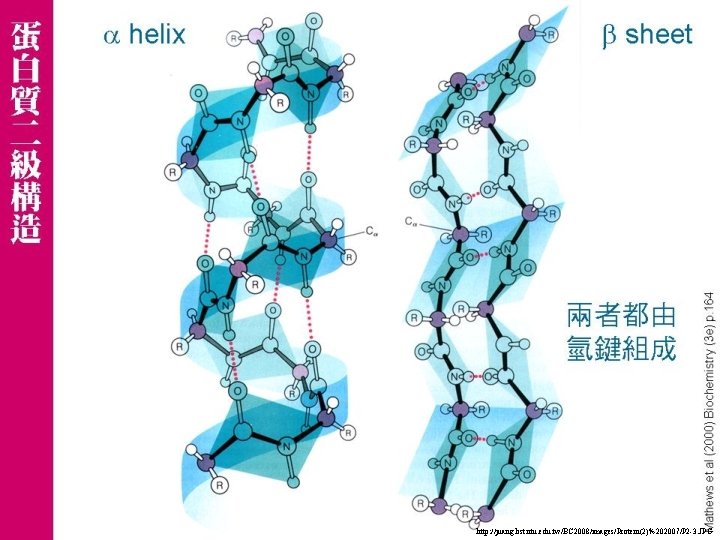 http: //juang. bst. ntu. edu. tw/BC 2008/images/Protein(2)%202007/P 2 -3. JPG 