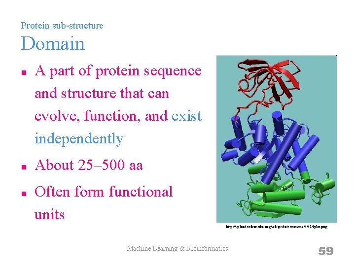 Protein sub-structure Domain n A part of protein sequence and structure that can evolve,