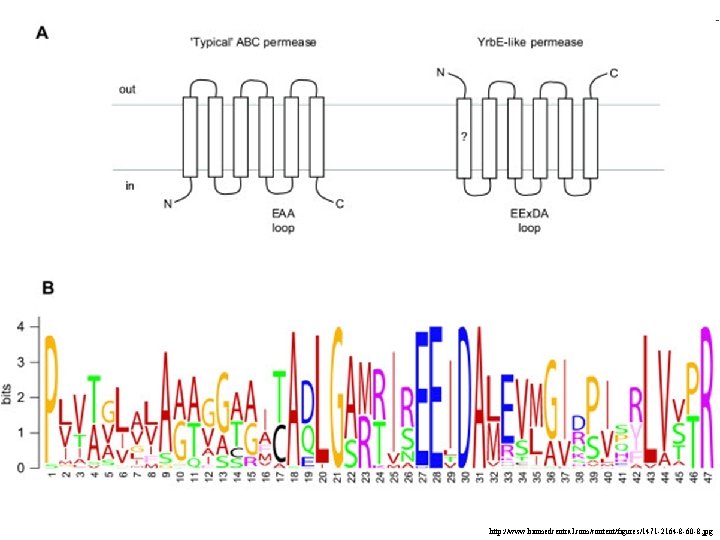 http: //www. biomedcentral. com/content/figures/1471 -2164 -8 -60 -8. jpg 