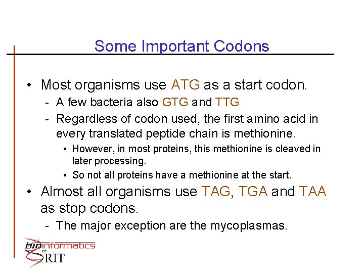Some Important Codons • Most organisms use ATG as a start codon. - A
