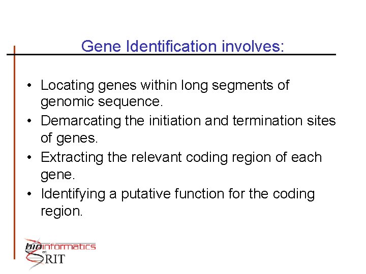Gene Identification involves: • Locating genes within long segments of genomic sequence. • Demarcating