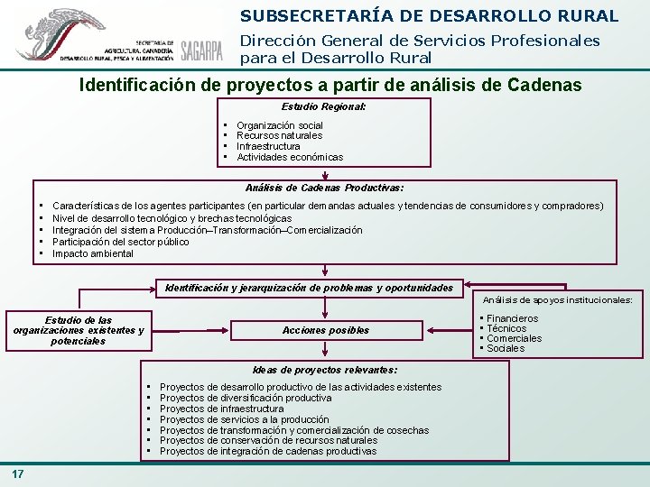 SUBSECRETARÍA DE DESARROLLO RURAL Dirección General de Servicios Profesionales para el Desarrollo Rural Identificación