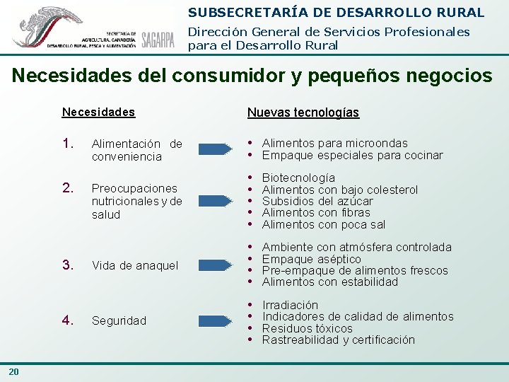 SUBSECRETARÍA DE DESARROLLO RURAL Dirección General de Servicios Profesionales para el Desarrollo Rural Necesidades