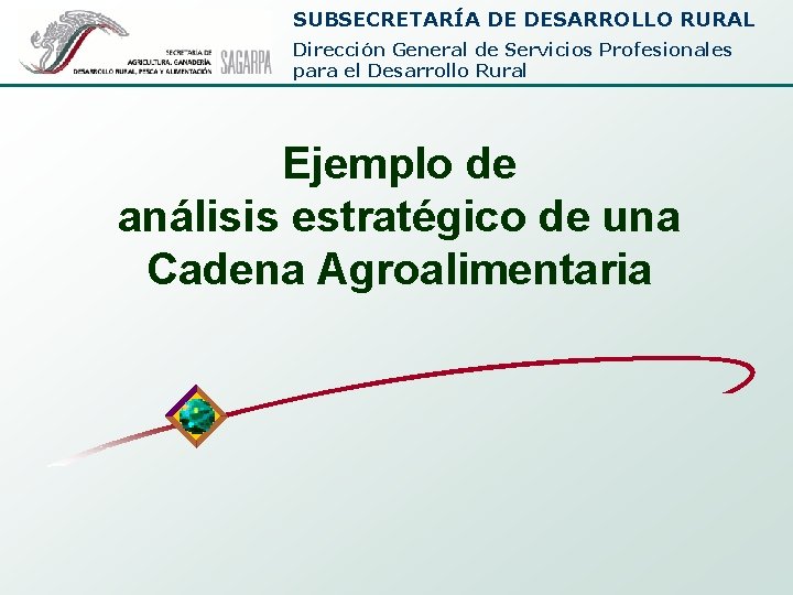 SUBSECRETARÍA DE DESARROLLO RURAL Dirección General de Servicios Profesionales para el Desarrollo Rural Ejemplo