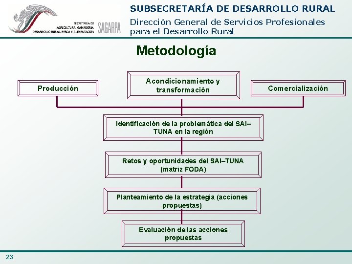 SUBSECRETARÍA DE DESARROLLO RURAL Dirección General de Servicios Profesionales para el Desarrollo Rural Metodología