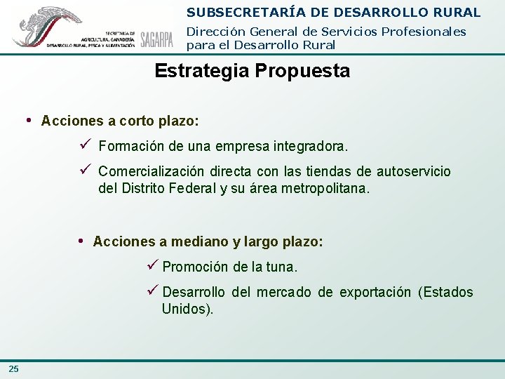 SUBSECRETARÍA DE DESARROLLO RURAL Dirección General de Servicios Profesionales para el Desarrollo Rural Estrategia