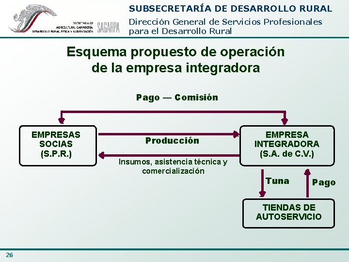 SUBSECRETARÍA DE DESARROLLO RURAL Dirección General de Servicios Profesionales para el Desarrollo Rural Esquema