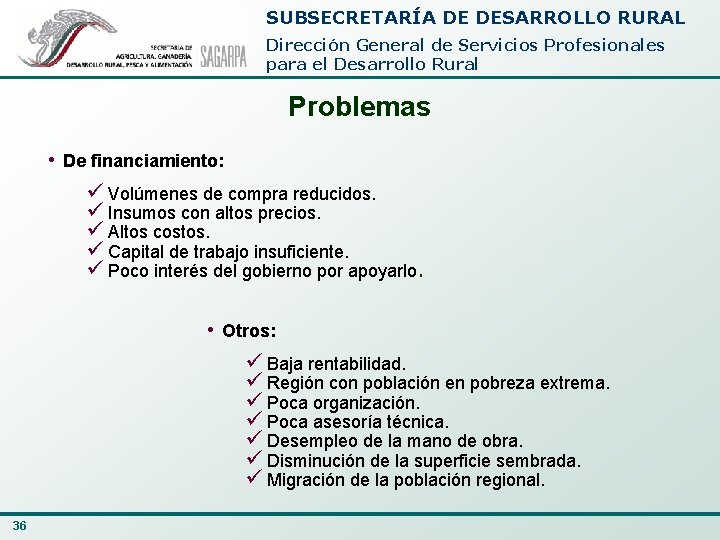 SUBSECRETARÍA DE DESARROLLO RURAL Dirección General de Servicios Profesionales para el Desarrollo Rural Problemas