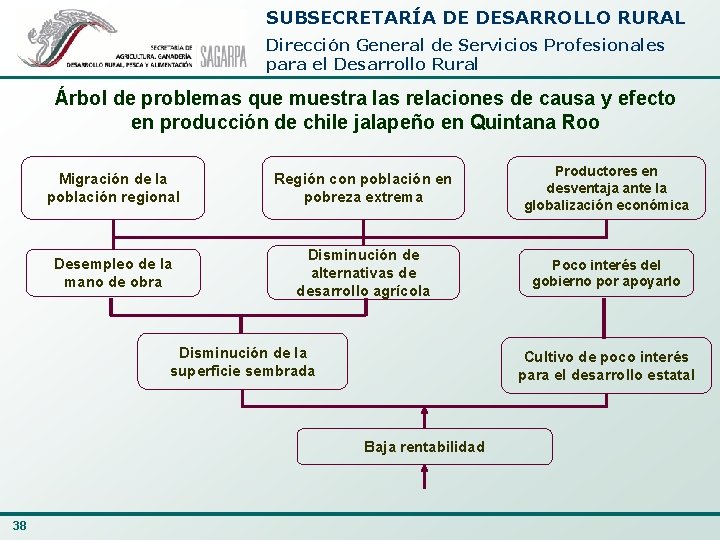 SUBSECRETARÍA DE DESARROLLO RURAL Dirección General de Servicios Profesionales para el Desarrollo Rural Árbol