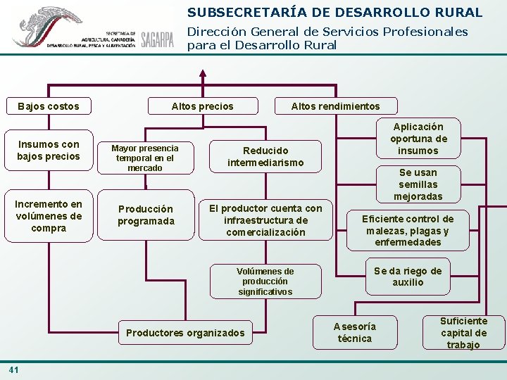 SUBSECRETARÍA DE DESARROLLO RURAL Dirección General de Servicios Profesionales para el Desarrollo Rural Bajos