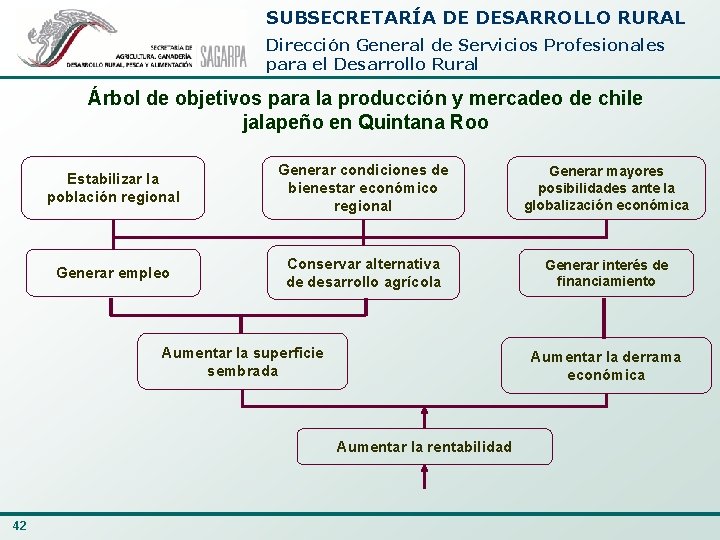 SUBSECRETARÍA DE DESARROLLO RURAL Dirección General de Servicios Profesionales para el Desarrollo Rural Árbol