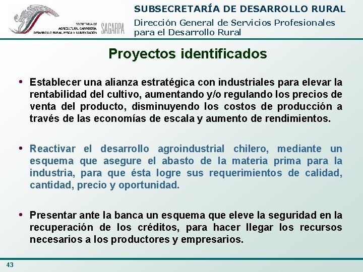 SUBSECRETARÍA DE DESARROLLO RURAL Dirección General de Servicios Profesionales para el Desarrollo Rural Proyectos