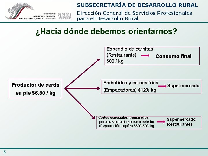 SUBSECRETARÍA DE DESARROLLO RURAL Dirección General de Servicios Profesionales para el Desarrollo Rural ¿Hacia