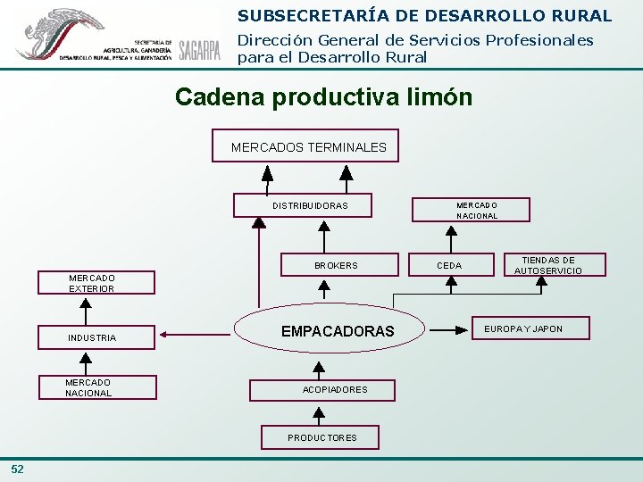 SUBSECRETARÍA DE DESARROLLO RURAL Dirección General de Servicios Profesionales para el Desarrollo Rural Cadena