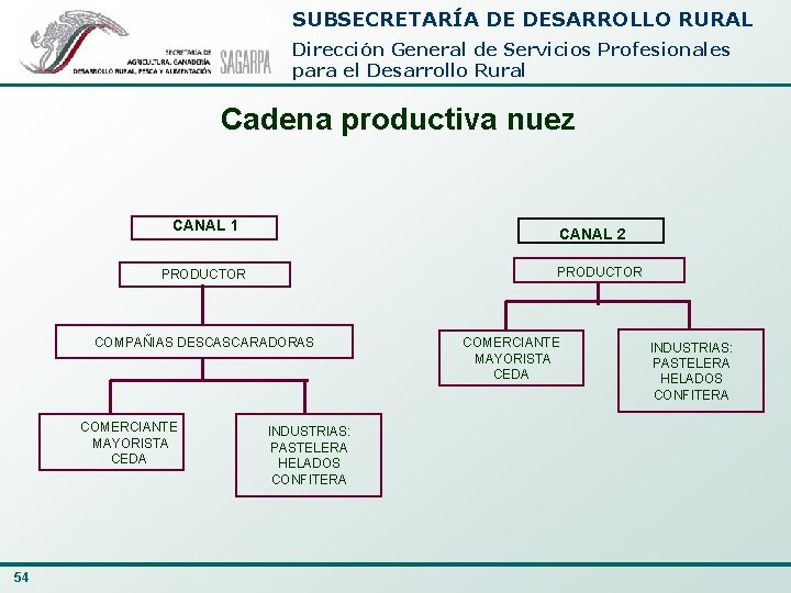 SUBSECRETARÍA DE DESARROLLO RURAL Dirección General de Servicios Profesionales para el Desarrollo Rural Cadena