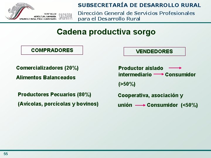 SUBSECRETARÍA DE DESARROLLO RURAL Dirección General de Servicios Profesionales para el Desarrollo Rural Cadena