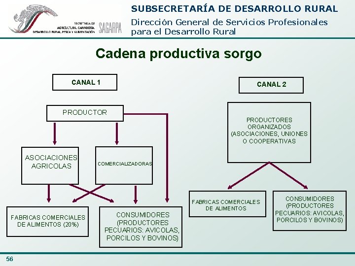 SUBSECRETARÍA DE DESARROLLO RURAL Dirección General de Servicios Profesionales para el Desarrollo Rural Cadena