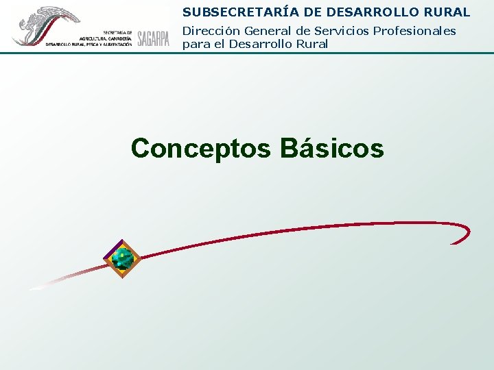 SUBSECRETARÍA DE DESARROLLO RURAL Dirección General de Servicios Profesionales para el Desarrollo Rural Conceptos