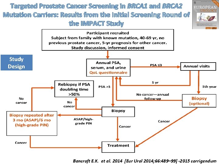 Targeted Prostate Cancer Screening in BRCA 1 and BRCA 2 Mutation Carriers: Results from