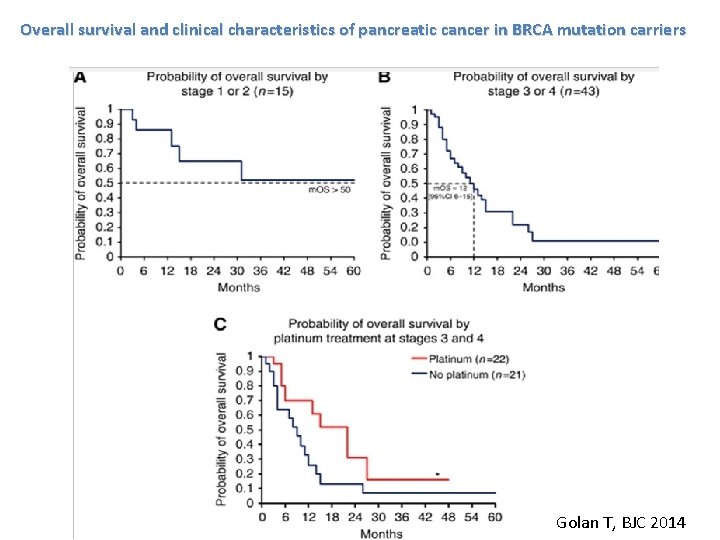 Overall survival and clinical characteristics of pancreatic cancer in BRCA mutation carriers Golan T,