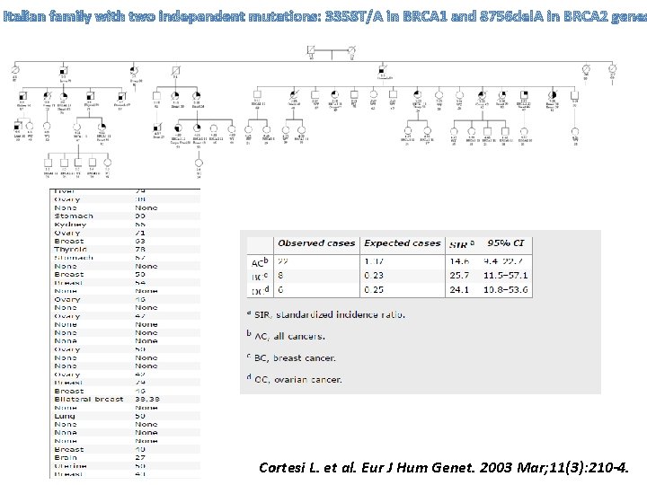 Italian family with two independent mutations: 3358 T/A in BRCA 1 and 8756 del.