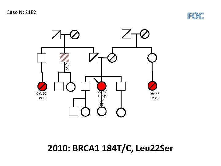 Caso N: 2182 FOC Pr: D: OV: 60 D: 60 Ov: 47 Lung: 57