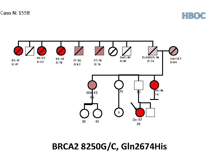 Caso N: 1558 HBOC 3 BR: 67 D: 67 BR: 53 D: 53 BR: