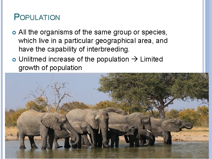 POPULATION All the organisms of the same group or species, which live in a