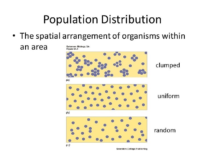 ARRANGEMENT Random Uniform (even) In a group (clumped) 