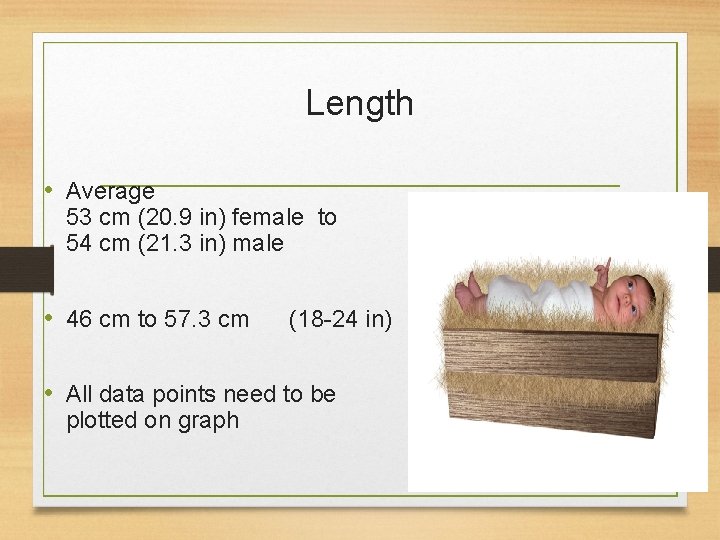 Length • Average 53 cm (20. 9 in) female to 54 cm (21. 3