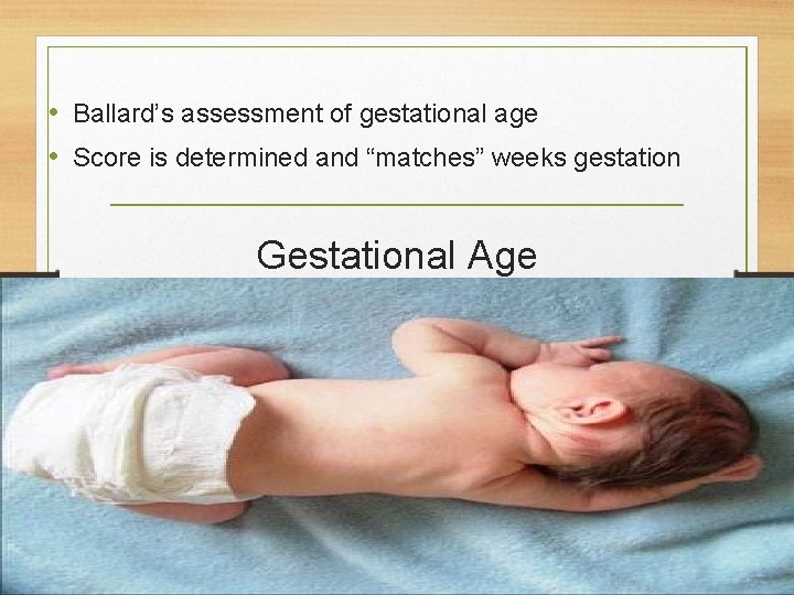  • Ballard’s assessment of gestational age • Score is determined and “matches” weeks