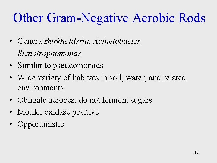 Other Gram-Negative Aerobic Rods • Genera Burkholderia, Acinetobacter, Stenotrophomonas • Similar to pseudomonads •