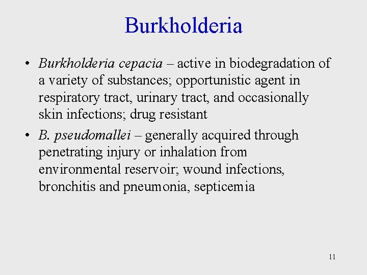Burkholderia • Burkholderia cepacia – active in biodegradation of a variety of substances; opportunistic