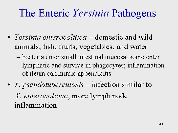 The Enteric Yersinia Pathogens • Yersinia enterocolitica – domestic and wild animals, fish, fruits,