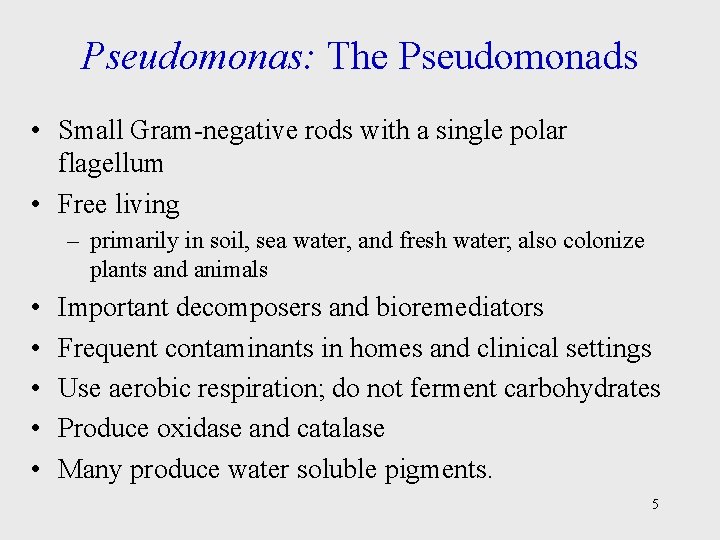 Pseudomonas: The Pseudomonads • Small Gram-negative rods with a single polar flagellum • Free