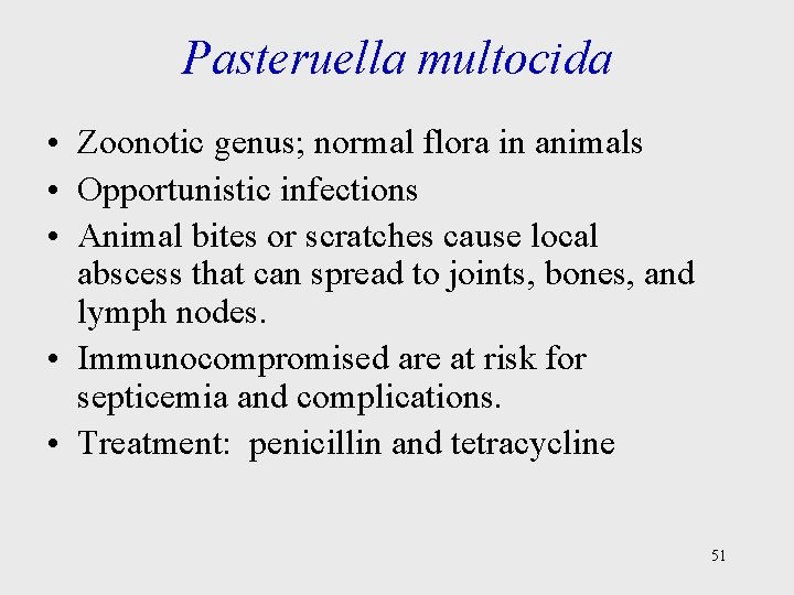 Pasteruella multocida • Zoonotic genus; normal flora in animals • Opportunistic infections • Animal