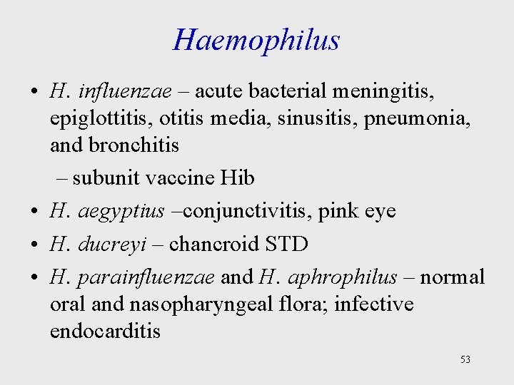 Haemophilus • H. influenzae – acute bacterial meningitis, epiglottitis, otitis media, sinusitis, pneumonia, and