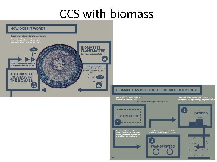 CCS with biomass 