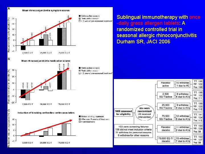 Sublingual immunotherapy with once -daily grass allergen tablets: A randomized controlled trial in seasonal