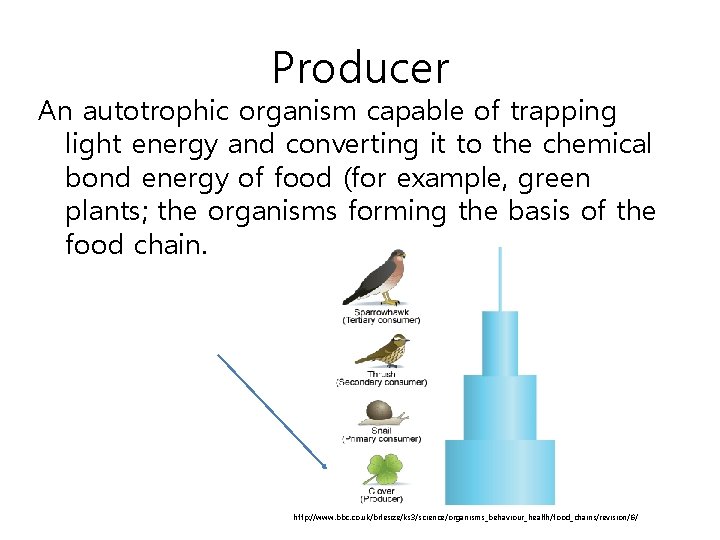 Producer An autotrophic organism capable of trapping light energy and converting it to the