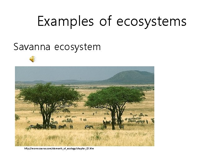 Examples of ecosystems Savanna ecosystem http: //morriscourse. com/elements_of_ecology/chapter_23. htm 