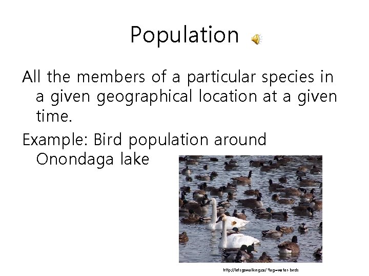 Population All the members of a particular species in a given geographical location at
