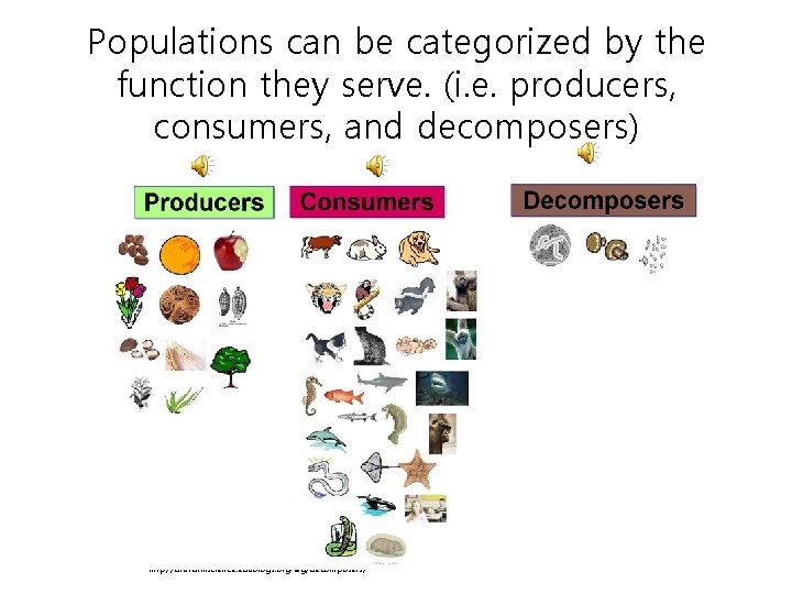 Populations can be categorized by the function they serve. (i. e. producers, consumers, and