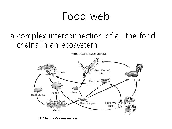 Food web a complex interconnection of all the food chains in an ecosystem. http: