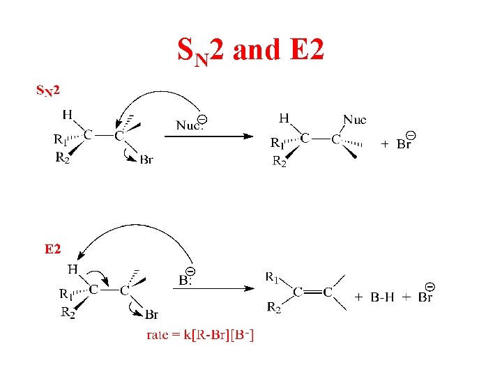 SN 2 and E 2 SN 2 and E 2