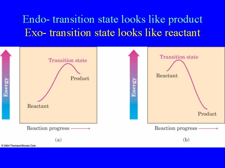 Endo- transition state looks like product Exo- transition state looks like reactant 